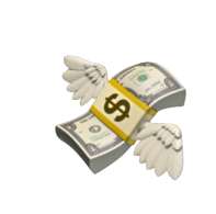 Cash Icon